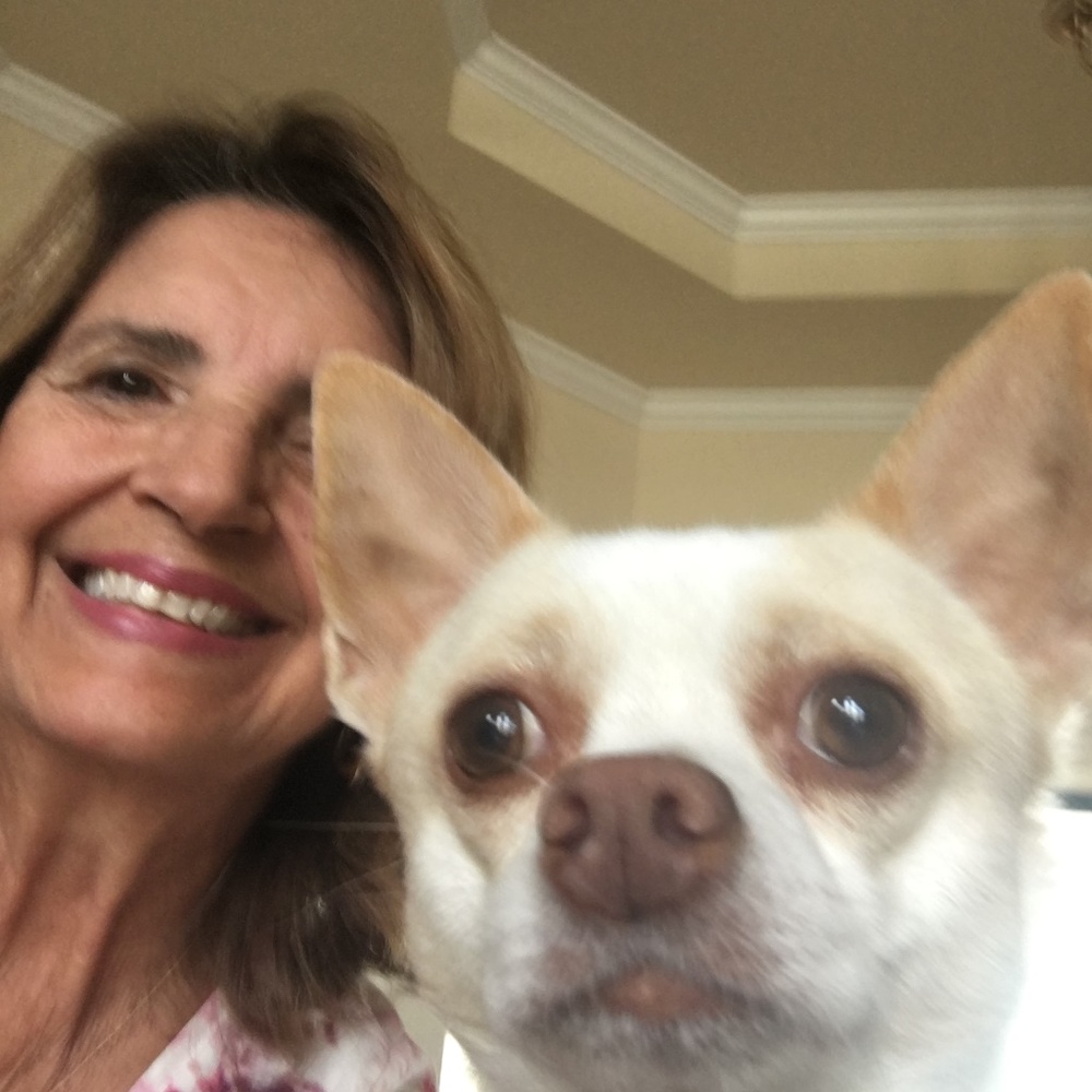 Meet your Posher, Theresa